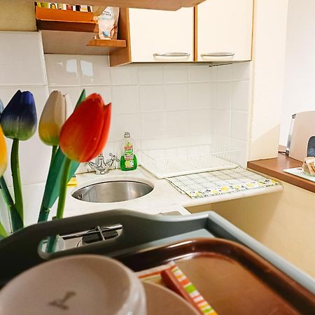 Appartement Il Giardino Segreto à Lucques Extérieur photo