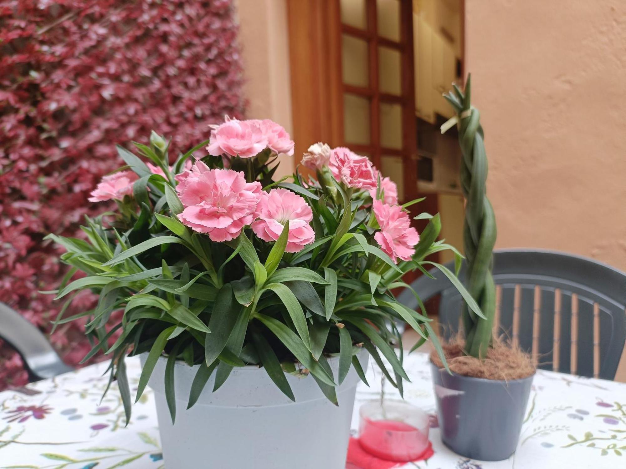 Appartement Il Giardino Segreto à Lucques Extérieur photo