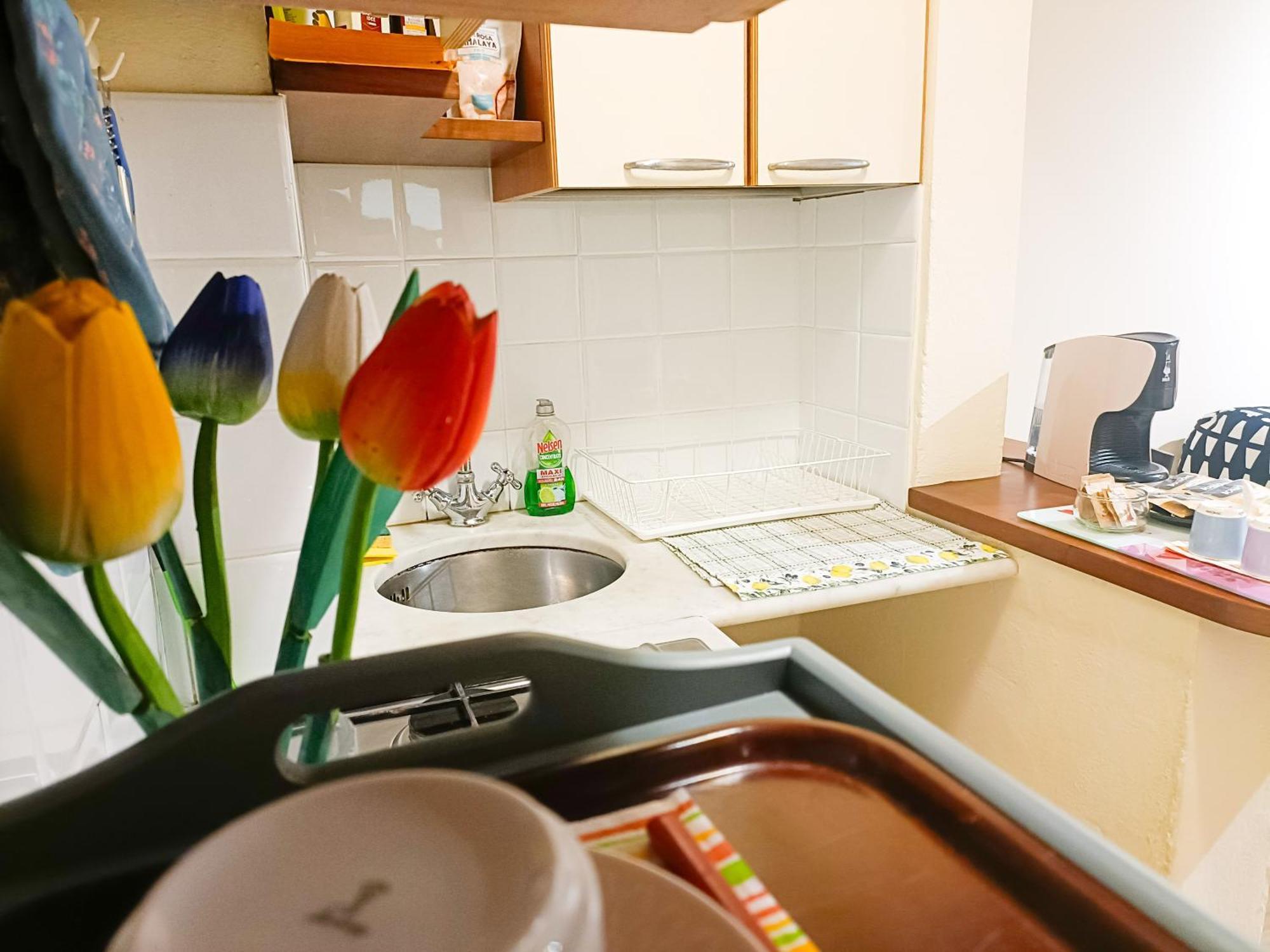 Appartement Il Giardino Segreto à Lucques Extérieur photo