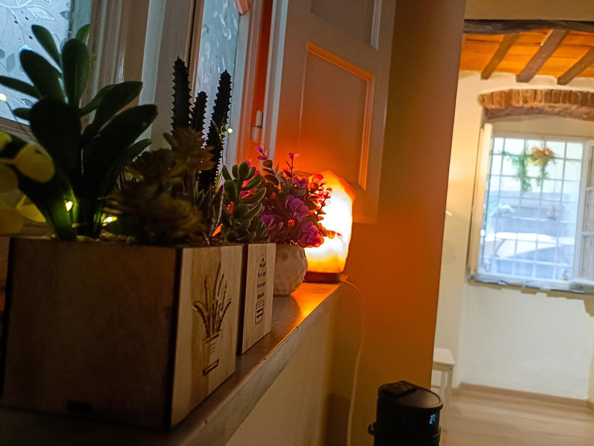 Appartement Il Giardino Segreto à Lucques Extérieur photo